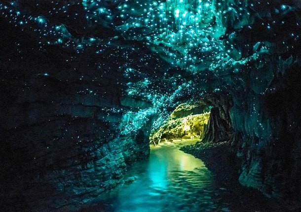 غارهای وایتومو نیوزلند