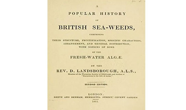 تاریخ مشهور جلبک های دریایی انگلستان !