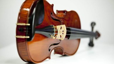 14 ویولن برتر برای افراد مبتدی تا حرفهای + خرید اینترنتی