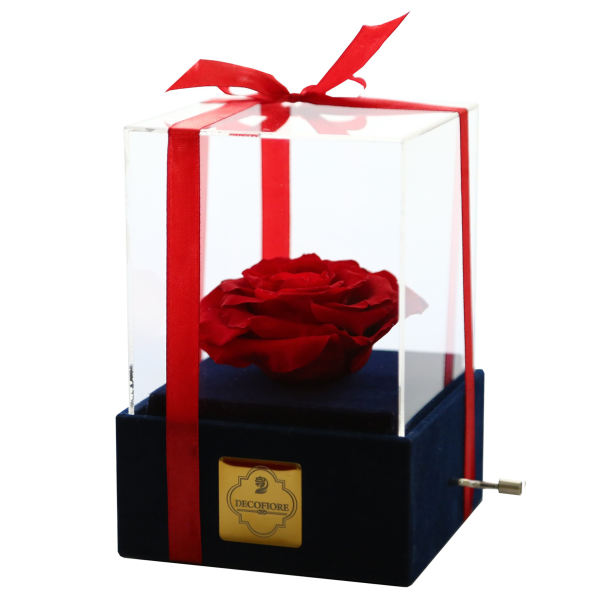 جعبه موزیکال گل ماندگار دکوفیوره مدل رز جاودان ملودی های عاشقانه 