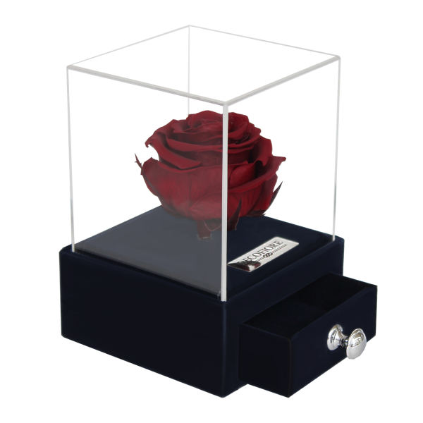 جعبه جواهرات و کارت هدیه رز جاودان مدل گل ماندگار دکوفیوره