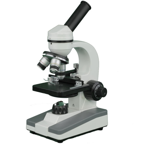 میکروسکوپ مدل XSP-116 FB