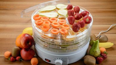 راهنمای خرید میوه خشک کن با قیمت روز و خرید اینترنتی