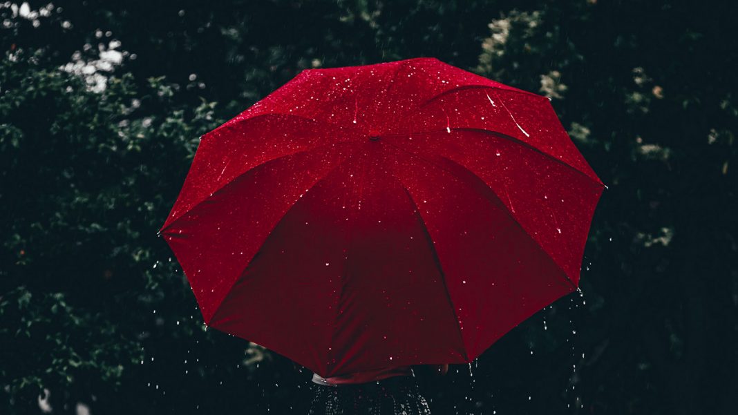 25 مدل چتر باکیفیت و محبوب با قیمت روز و خرید اینترنتی