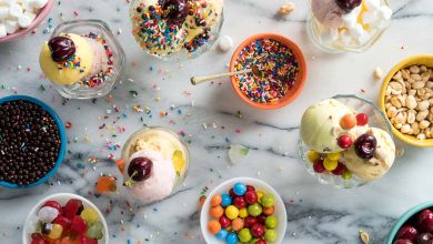 راهنمای خرید بستنی ساز