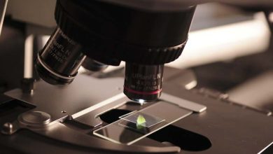 راهنمای خرید میکروسکوپ