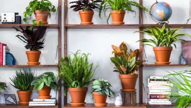 راهنمای خرید استند گلدان