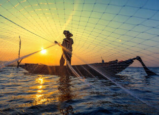 راهنمای خرید تور ماهیگیری