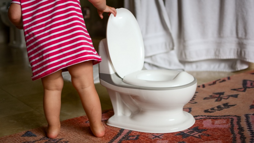 کافه کالا | ۲۵ مدل توالت فرنگی کودک زیبا و باکیفیت با خرید اینترنتی (2021)